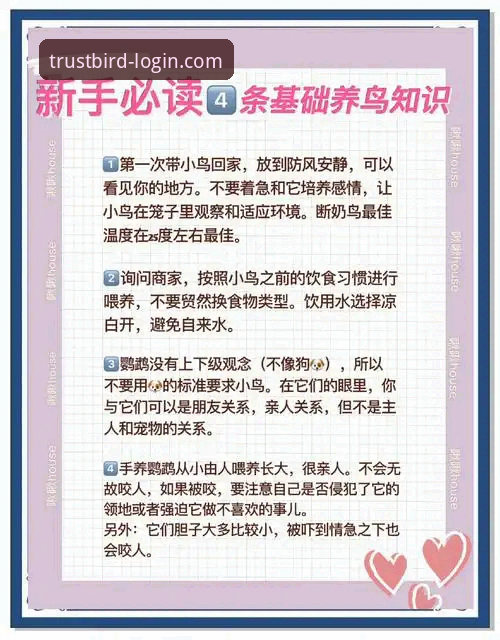 资深用户周敏分享：如何高效完成小鸟平台登录与客户端实战体验